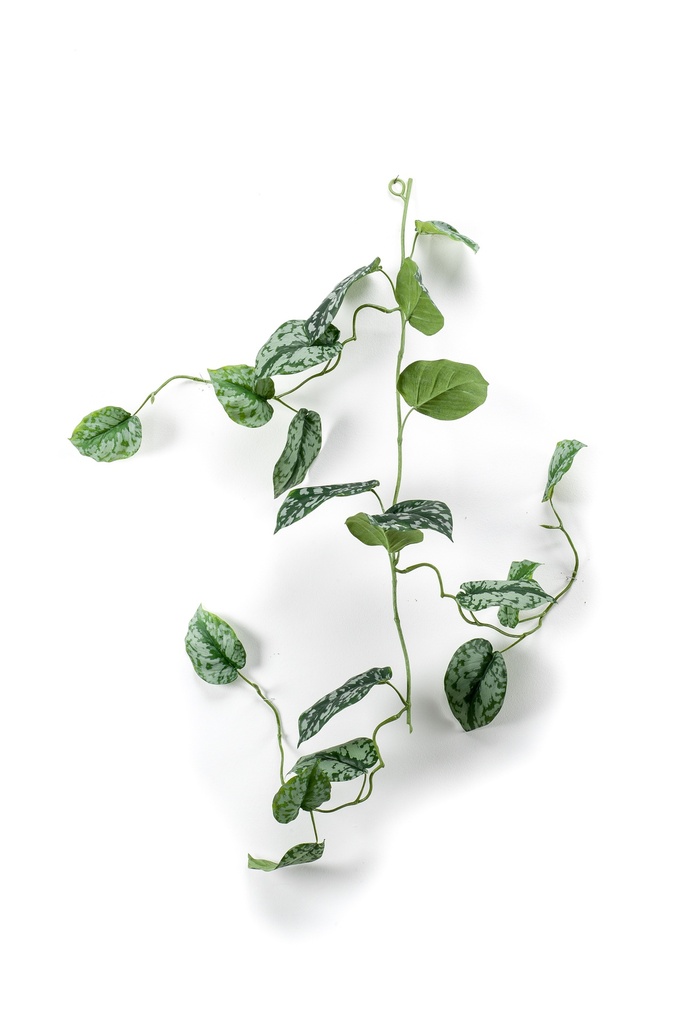 Scindapsus pictus en guirlande artificiel