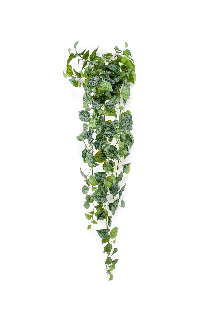 Scindapsus pictus retombant artificiel