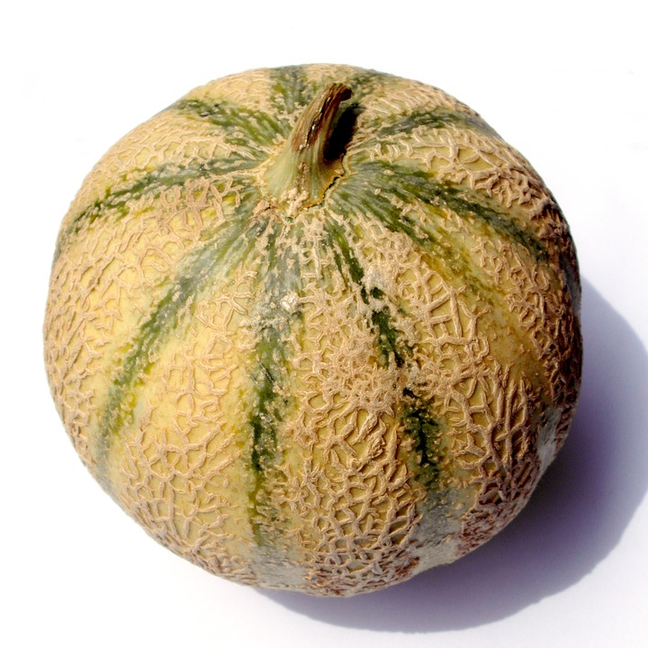 Melon charentais