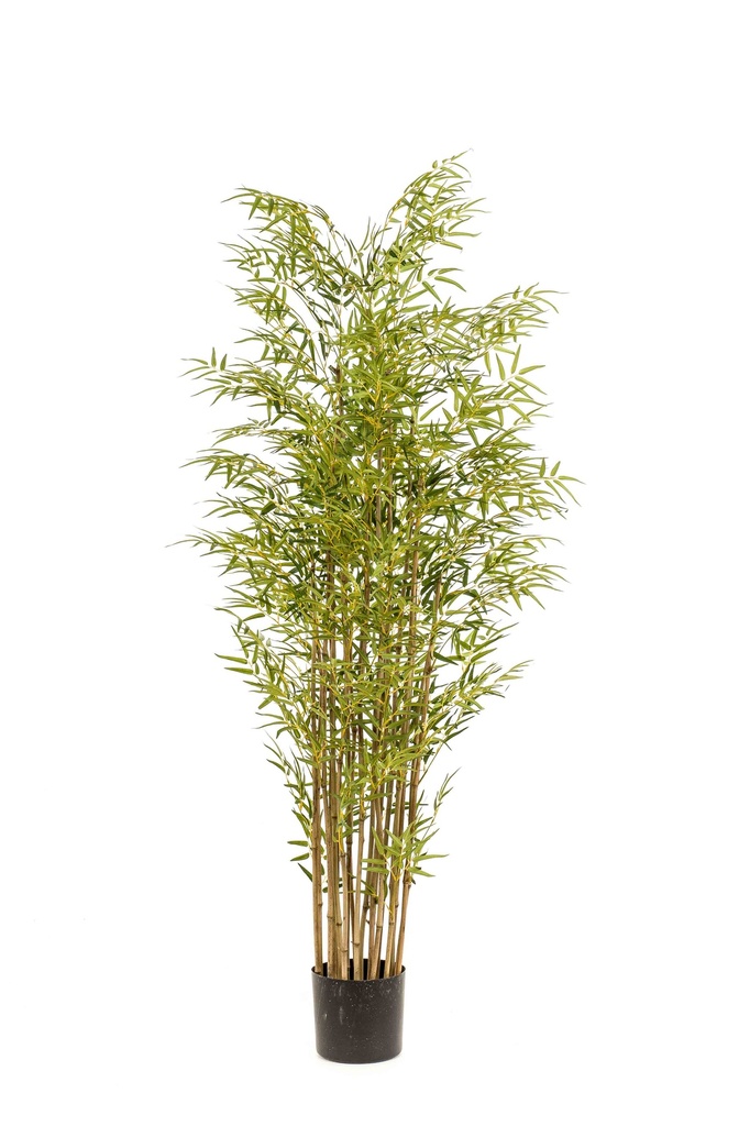 Bambou japonais artificiel