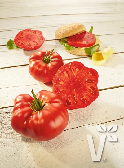 Tomate 'Supersteak' F1