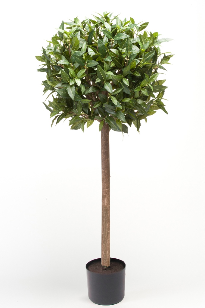 Laurier tige artificiel