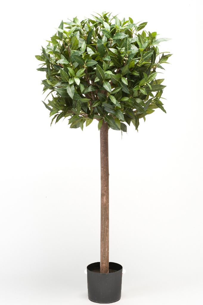 Laurier tige artificiel