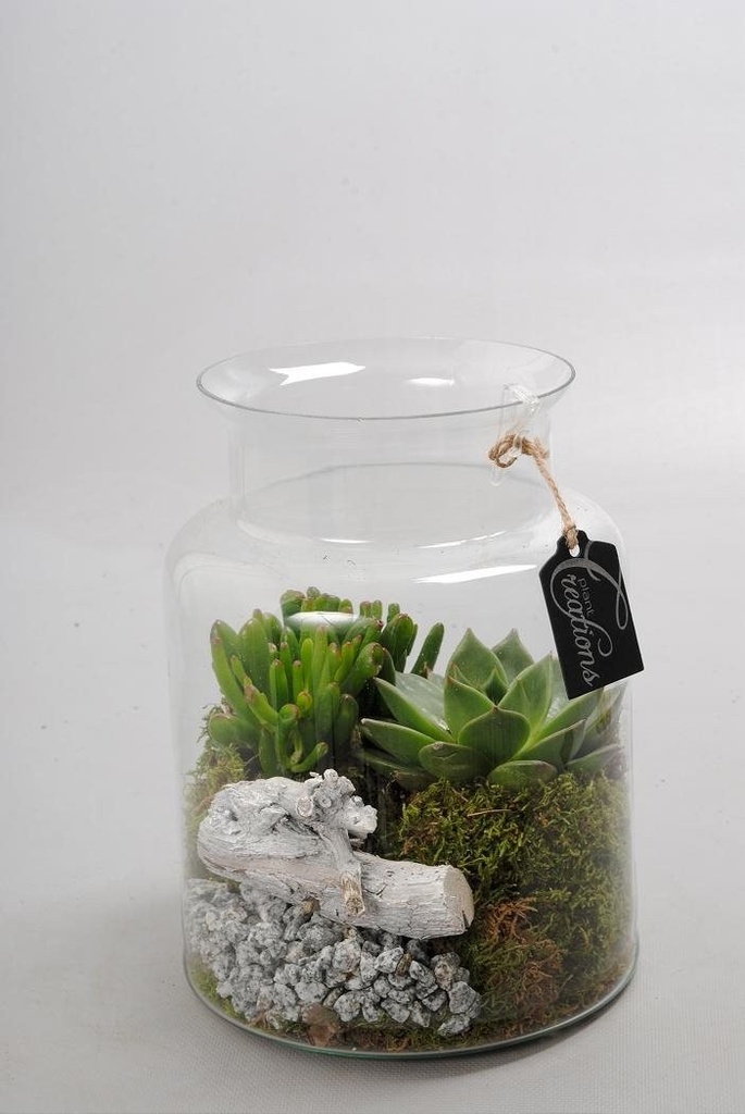 Arrangement 'Green Creation'