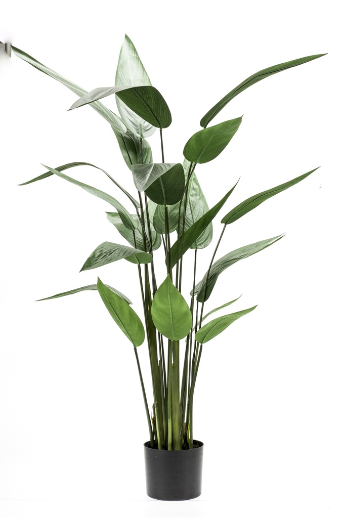 Heliconia artificiel