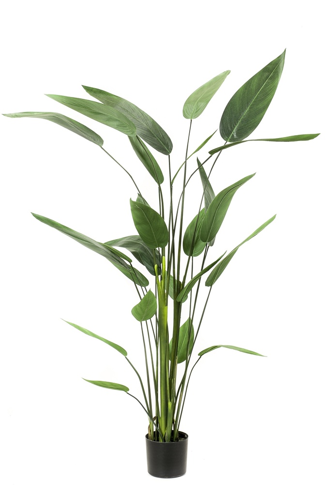 Heliconia artificiel