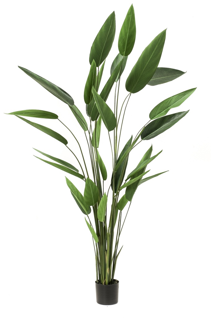 Heliconia artificiel