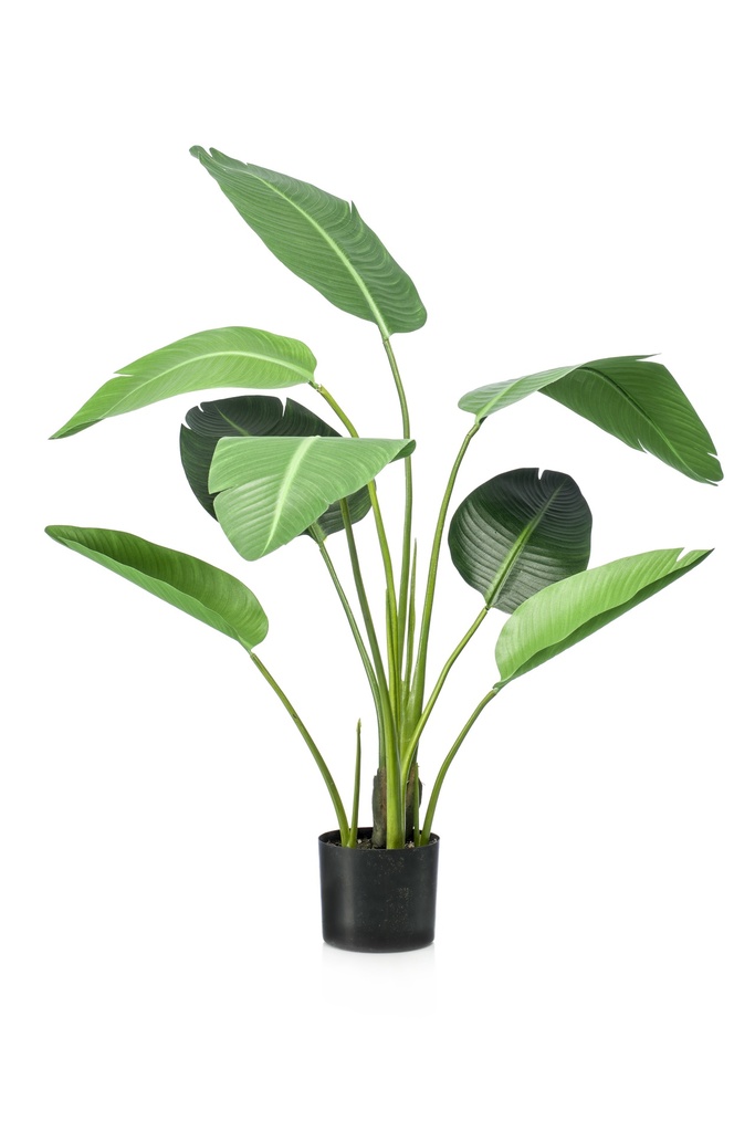 Strelitzia artificiel