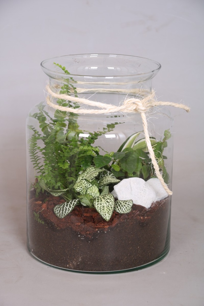 Arrangement vert