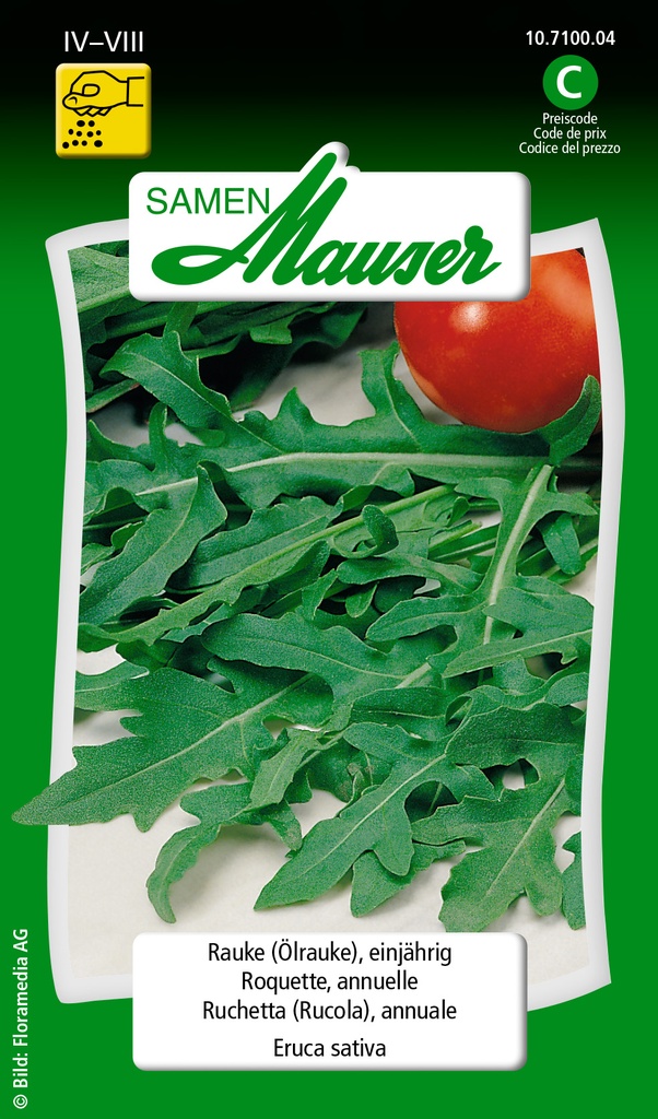 Roquette annuelle Eruca sativa