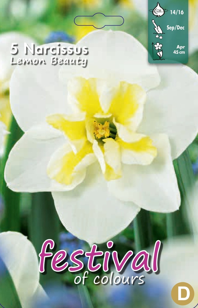 Narcissus 'Lemon Beauty'
