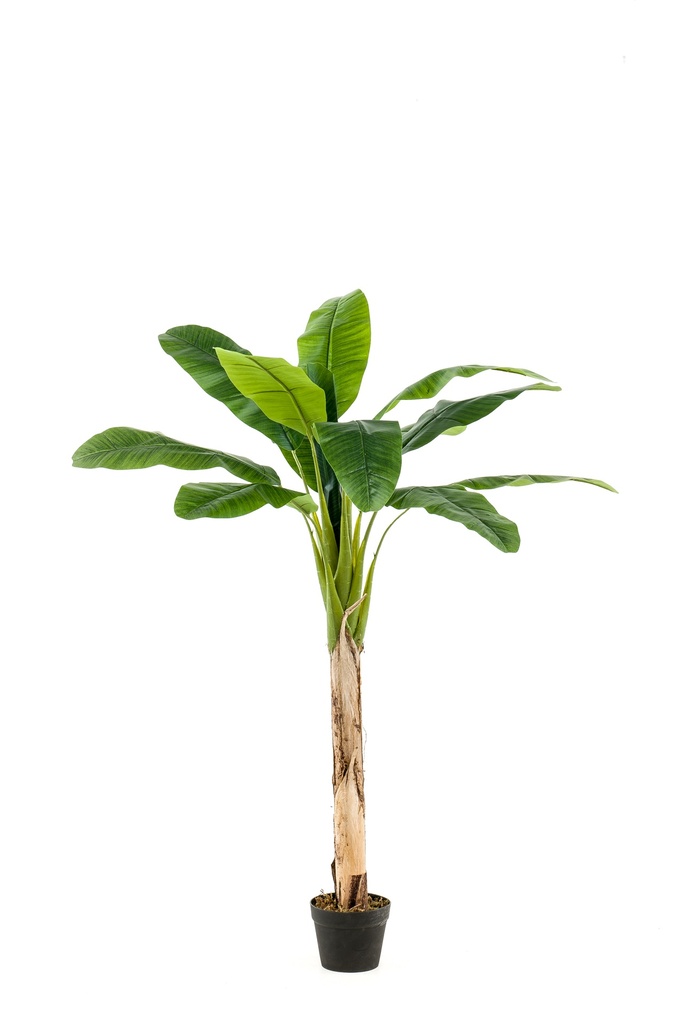 Bananier artificiel
