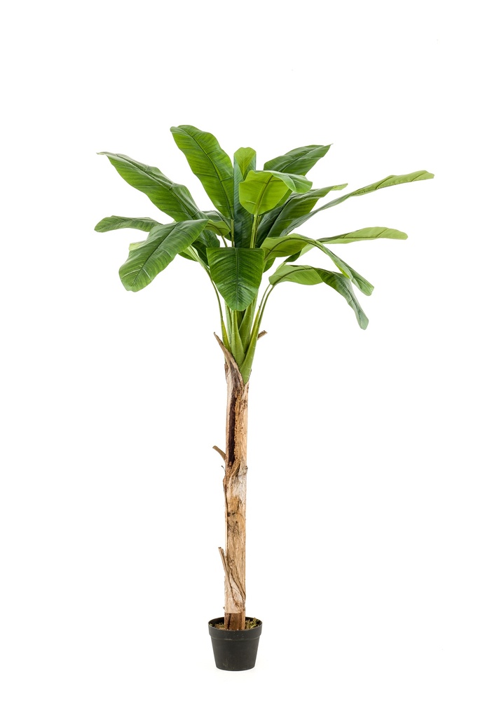 Bananier artificiel