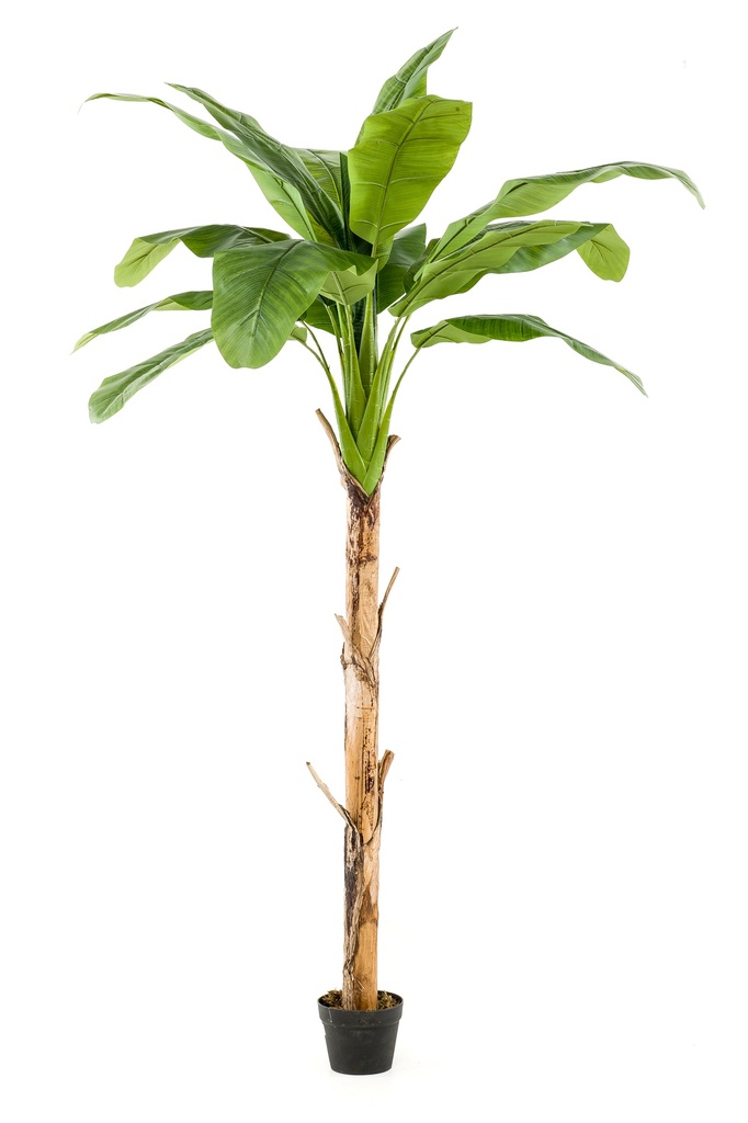 Bananier artificiel