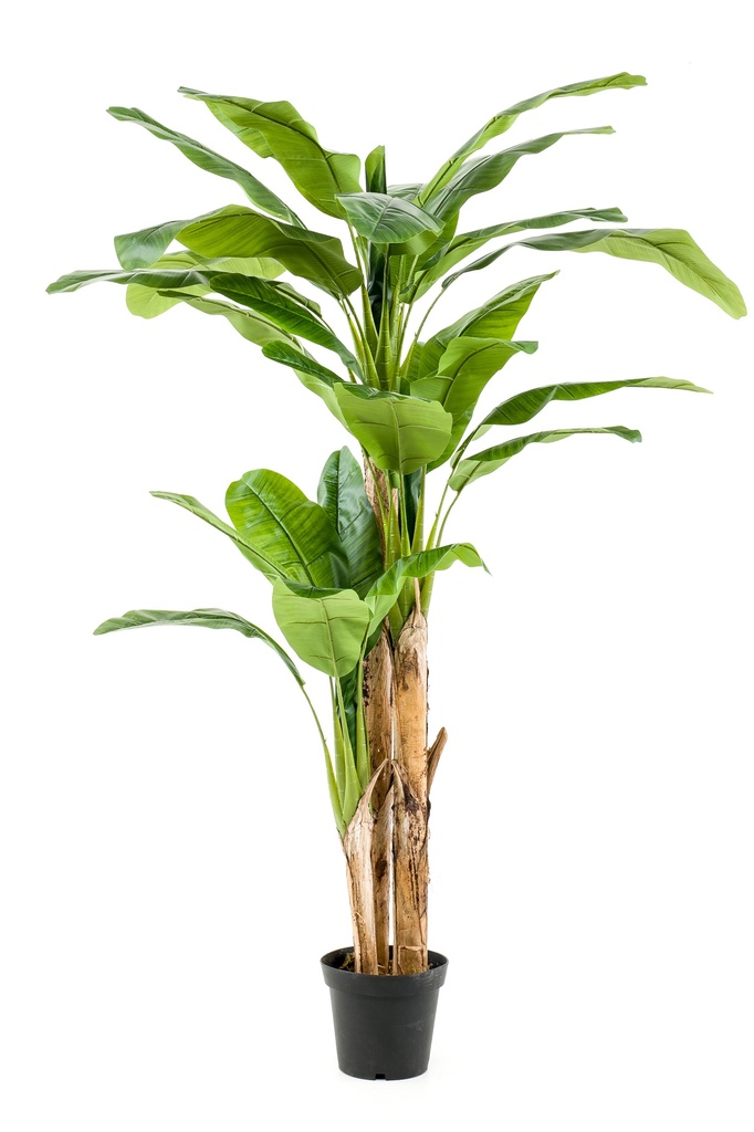 Bananier artificiel