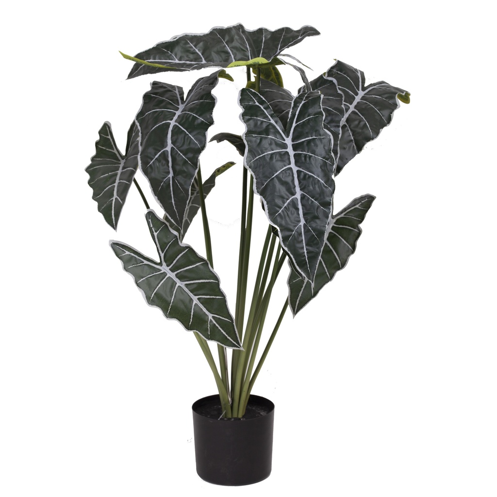 Alocasia artificiel