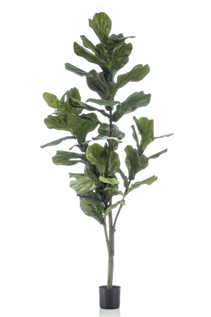 Ficus Lyrata artificiel