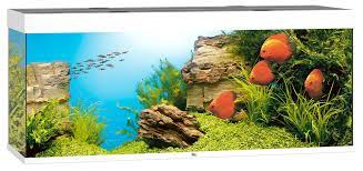 Juwel Aquarium Rio 450 blanc LED