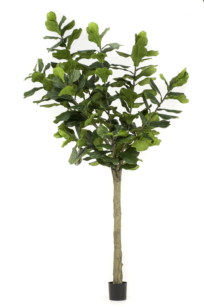 Ficus Lyrata artificiel