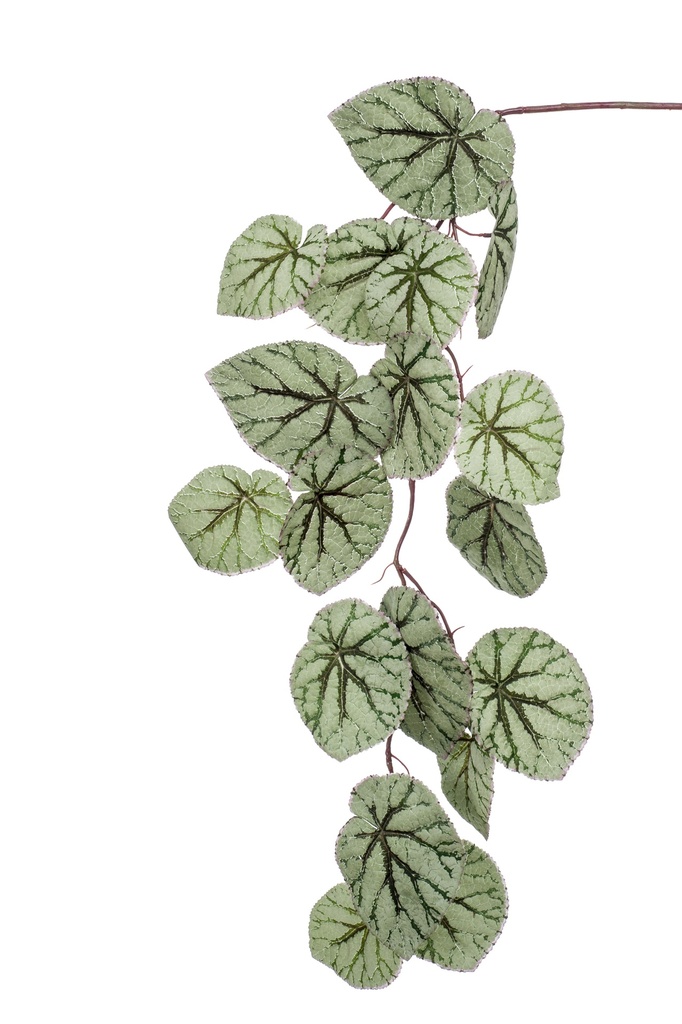 Bégonia rex retombant artificiel