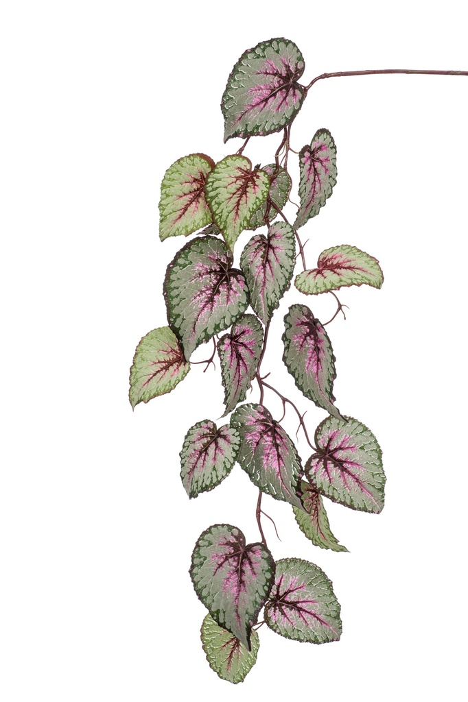 Bégonia rex retombant artificiel