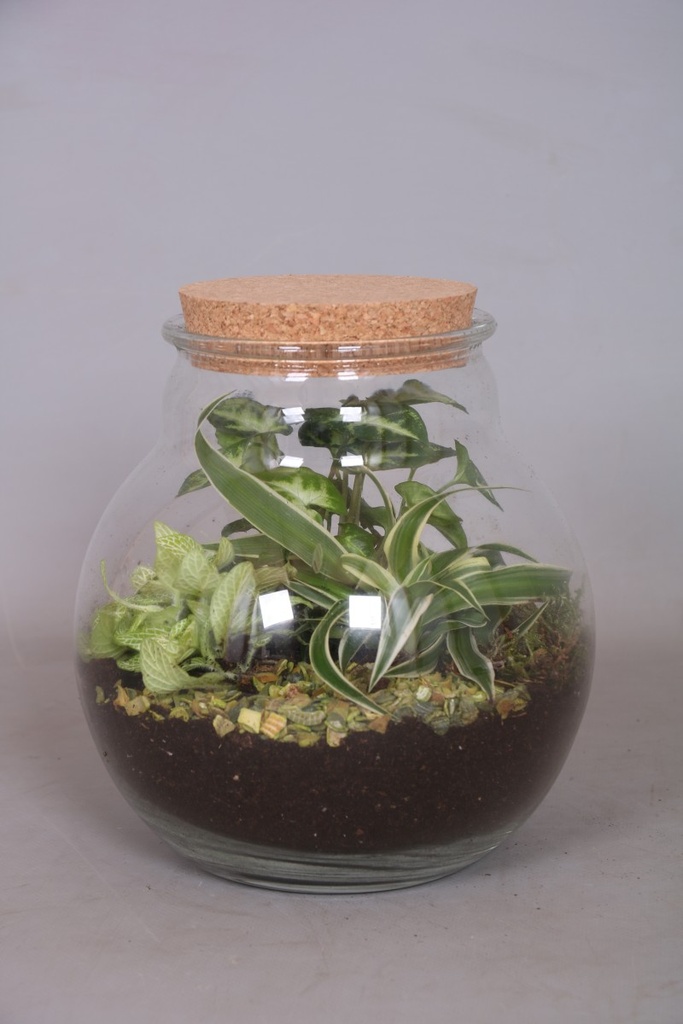 Arrangement