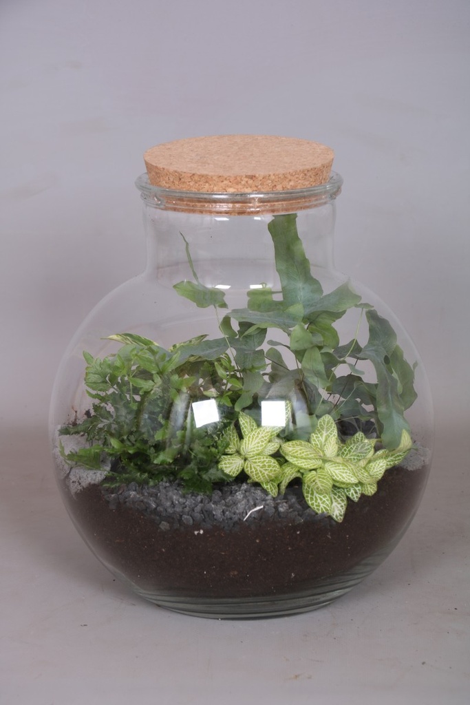 Arrangement