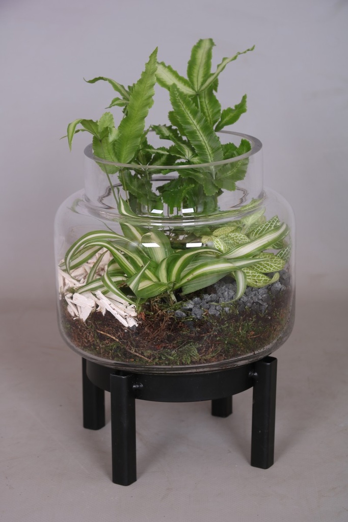 Arrangement