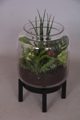 Arrangement