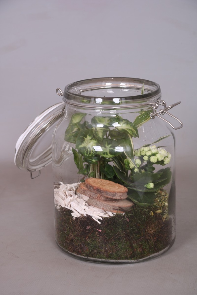 Arrangement