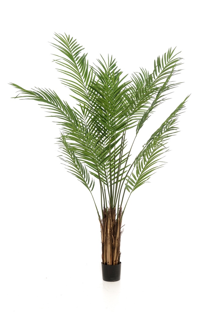 Palmier Areca sur tronc artificiel