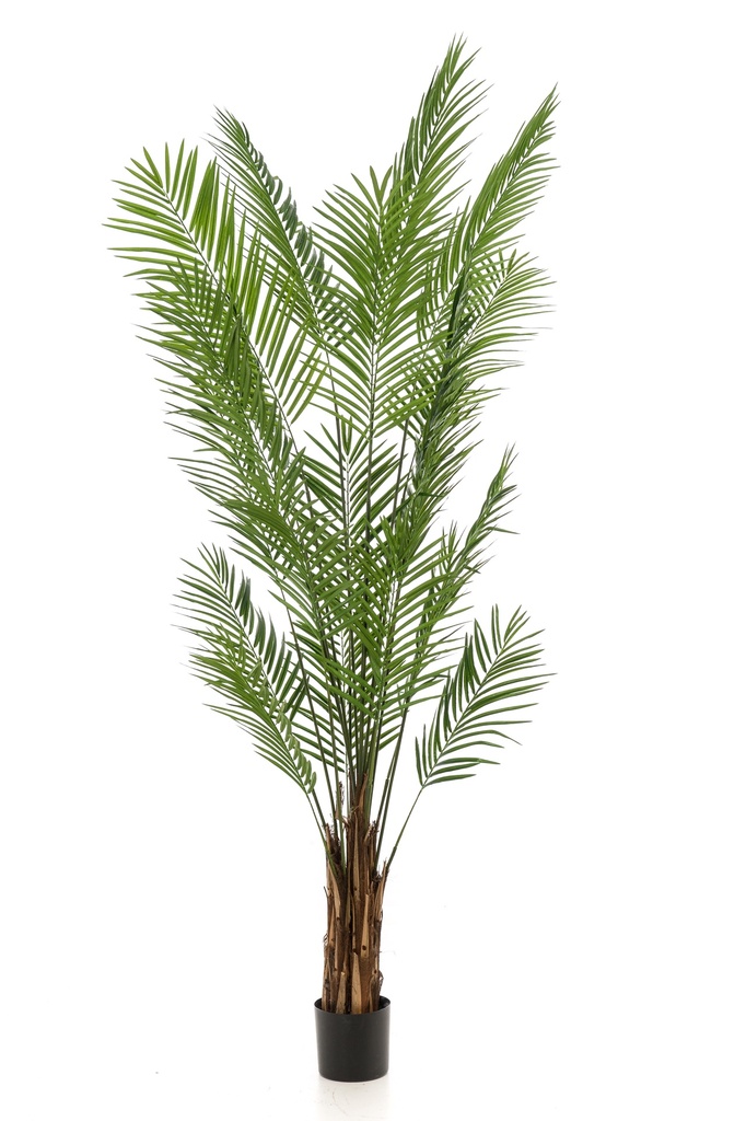 Palmier Areca sur tronc artificiel