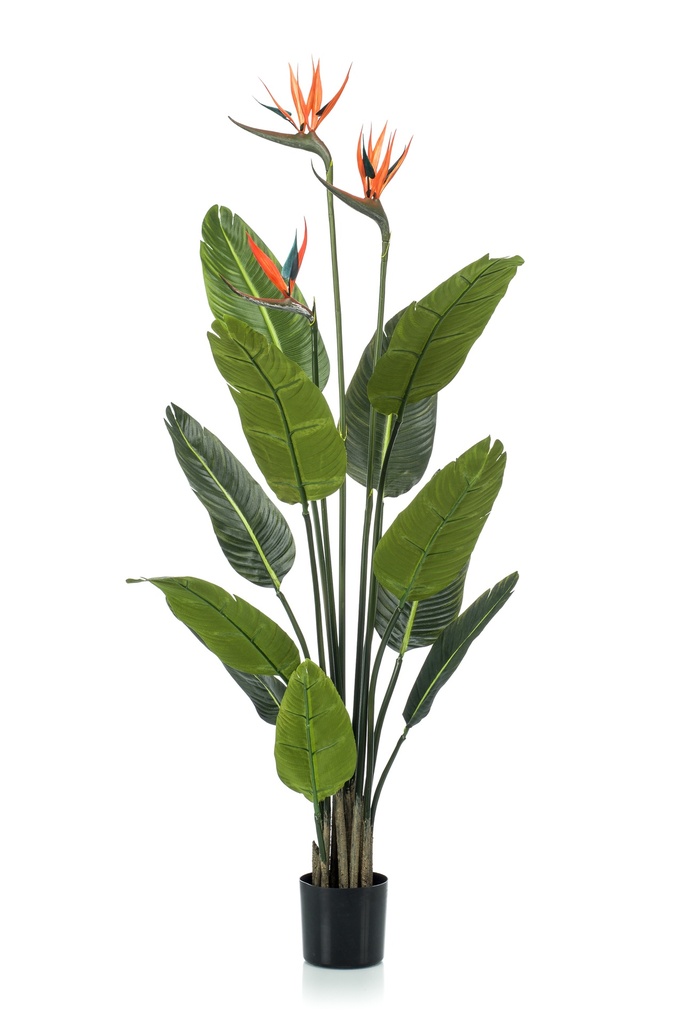 Strelitzia avec fleurs artificiel