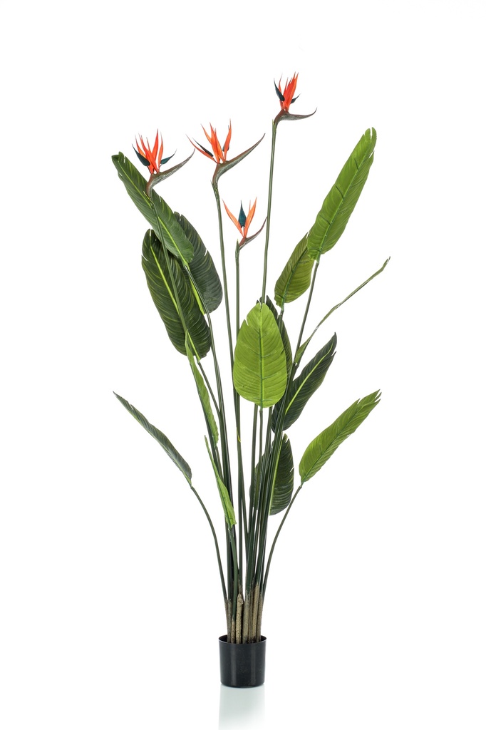 Strelitzia avec fleurs artificiel