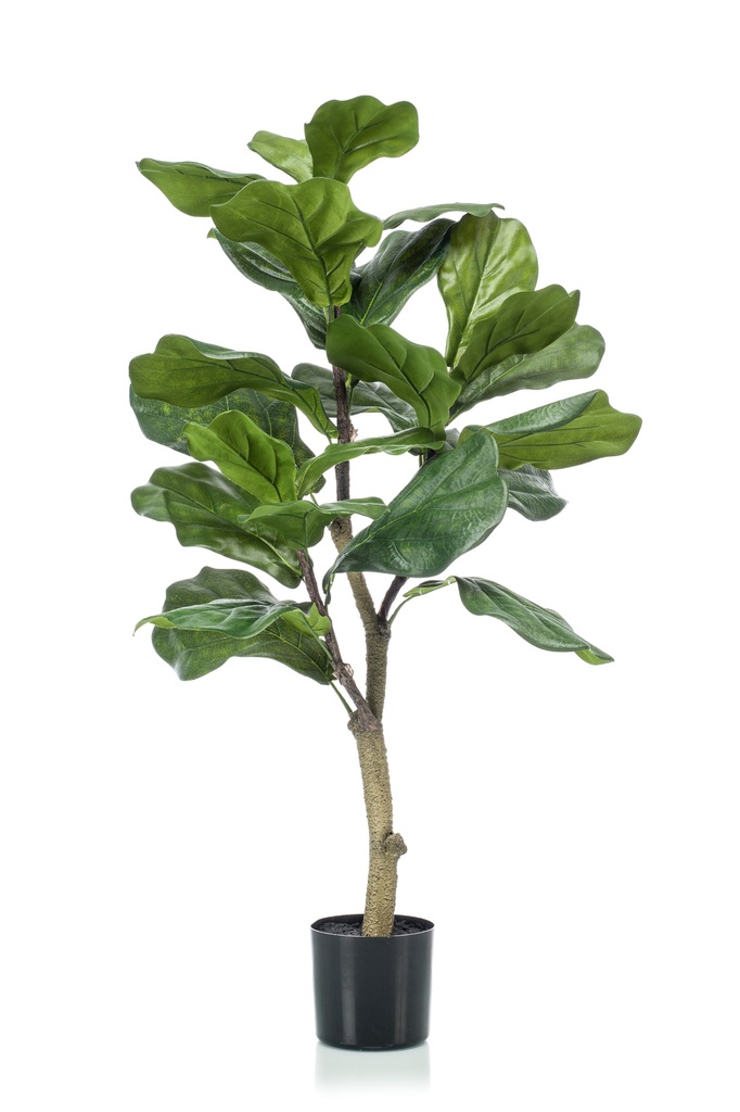 Ficus Lyrata artificiel
