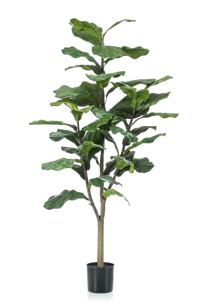 Ficus Lyrata artificiel