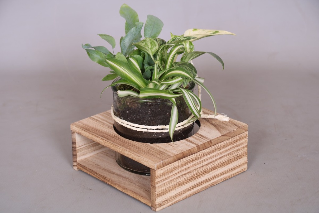 Arrangement
