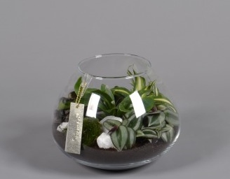 Arrangement Green