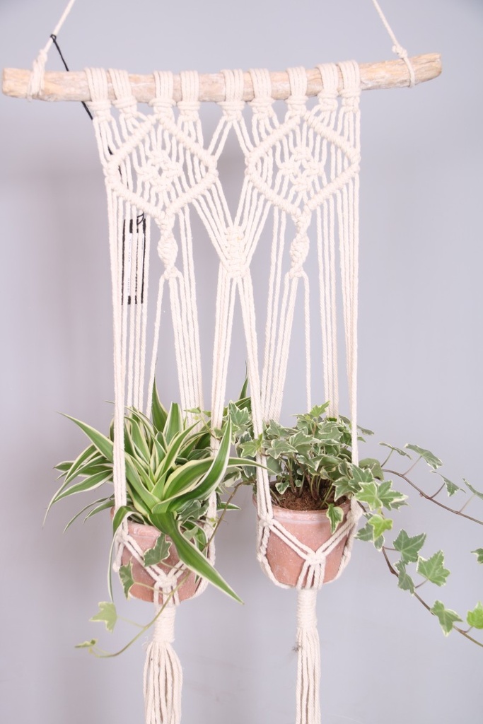 Arrangement