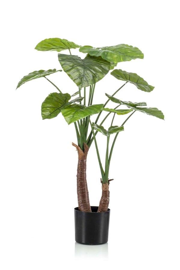 Alocasia artificiel