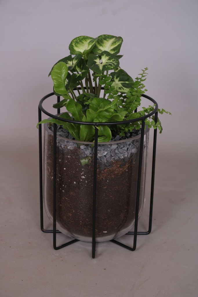 Arrangement