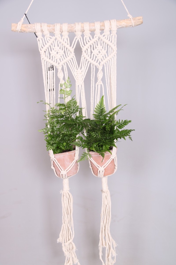 Arrangement