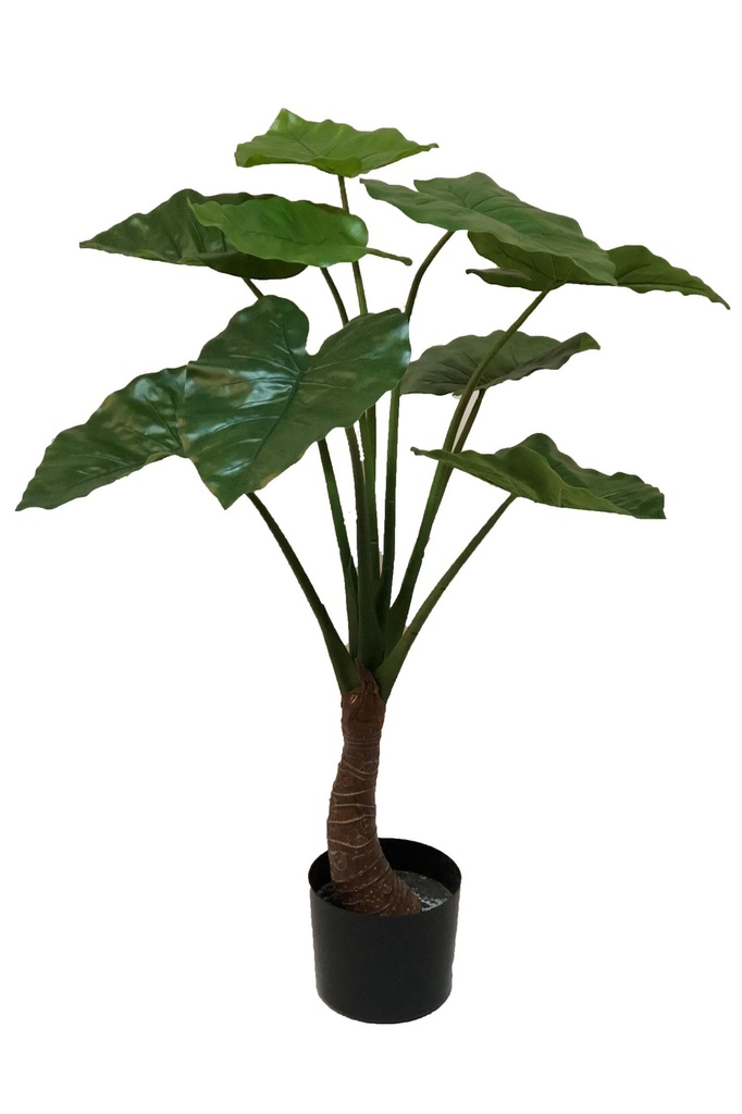 Alocasia artificiel
