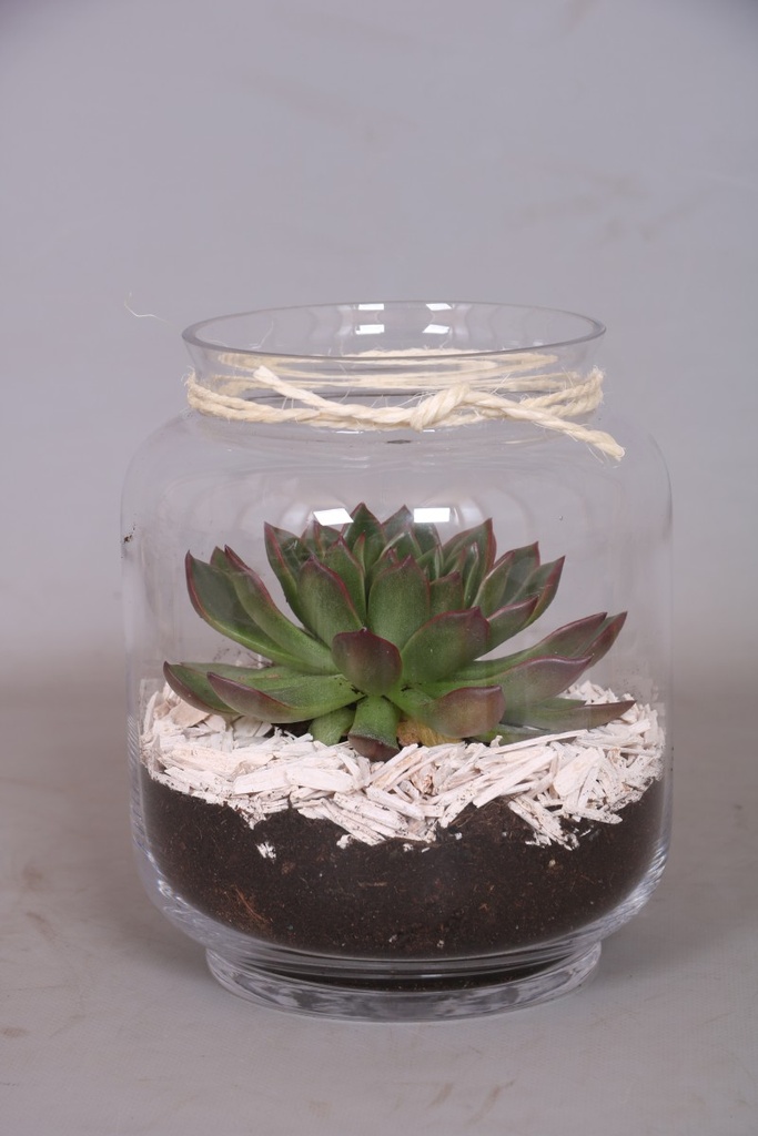 Arrangement