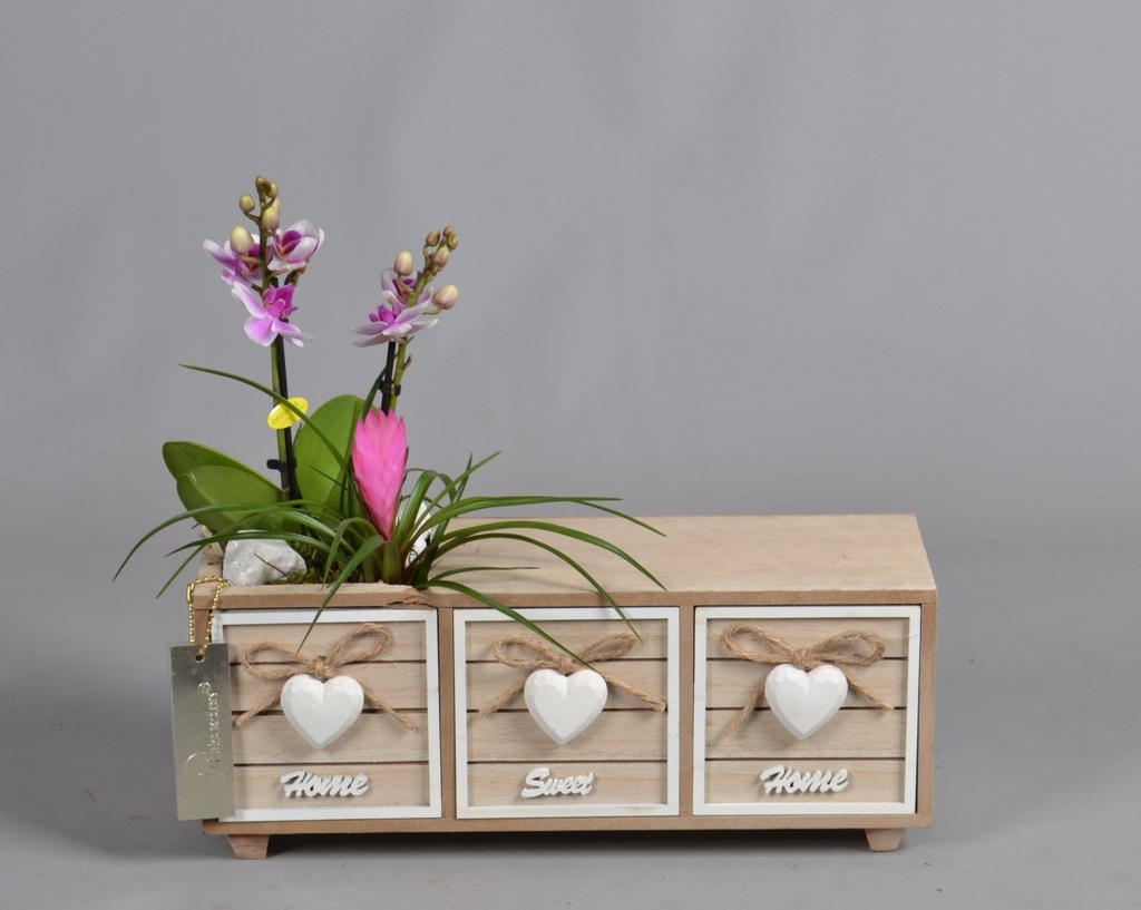 Arrangement Commode