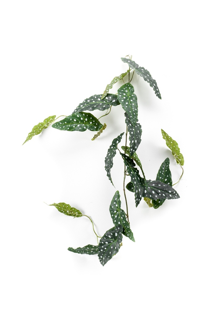 Bégonia maculata en guirlande artificiel