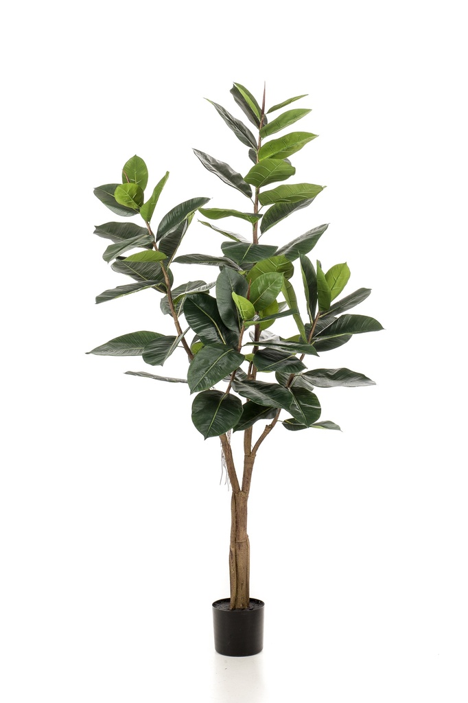 Ficus elastica artificiel