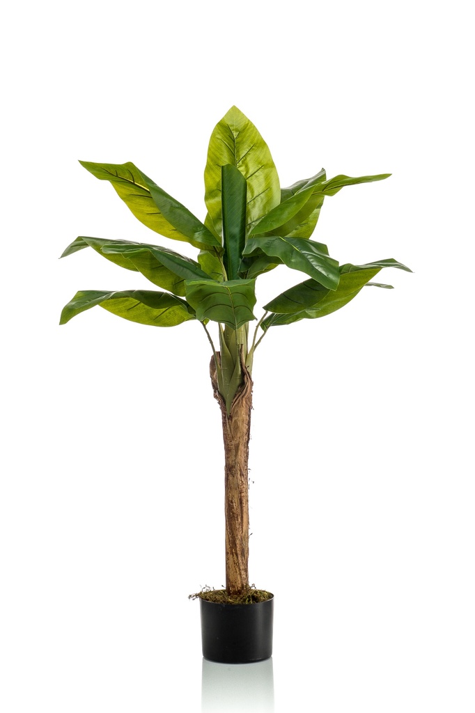 Bananier artificiel