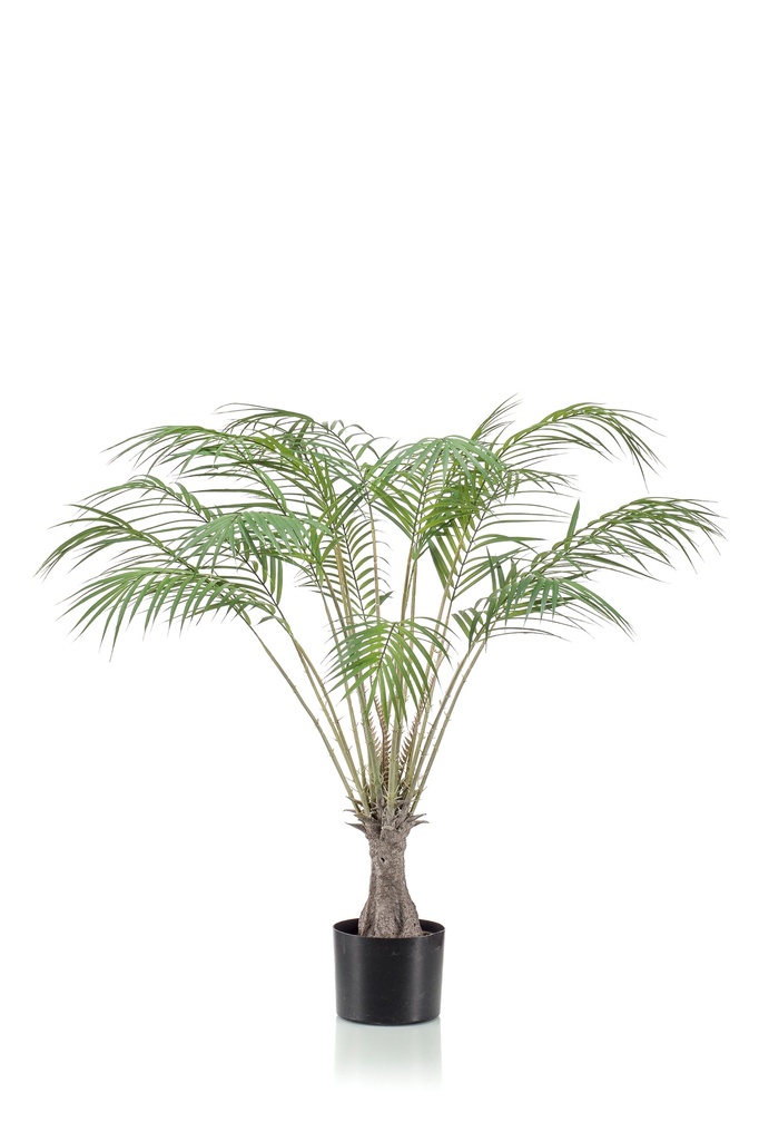 Palmier Chamaedorea sur tronc artificiel