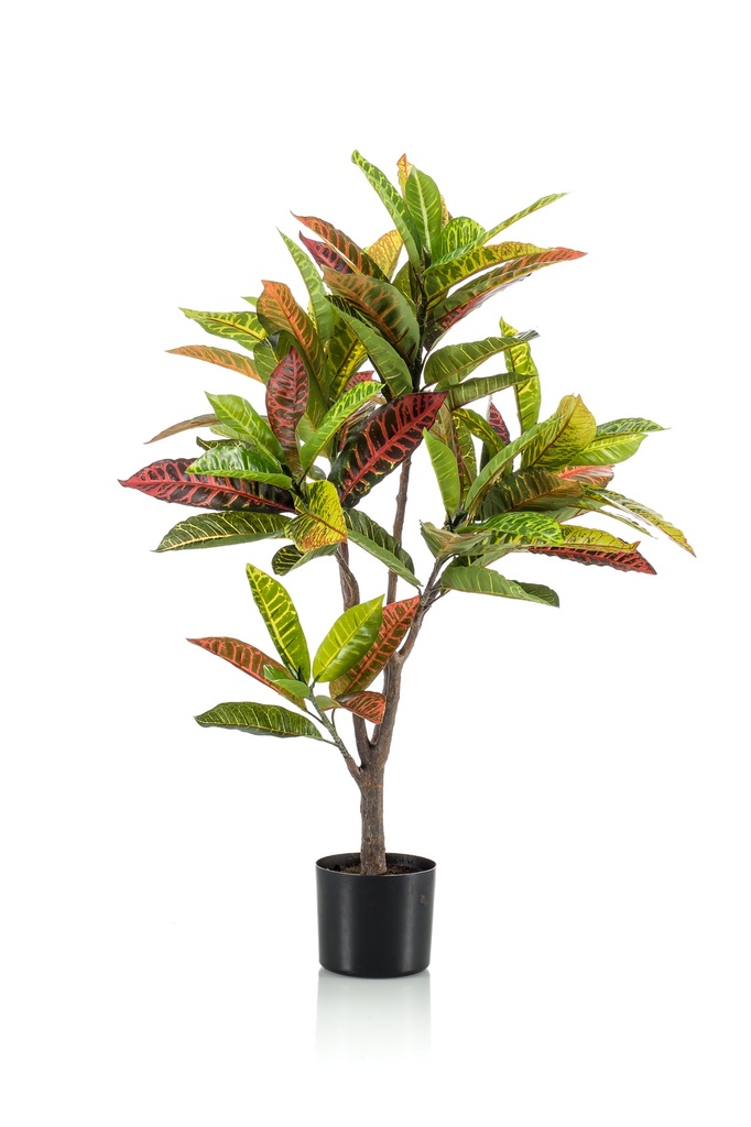 Croton artificiel